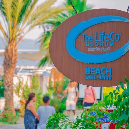 The Lifeco Bodrum Beach ホテル ゴルトゥルブク