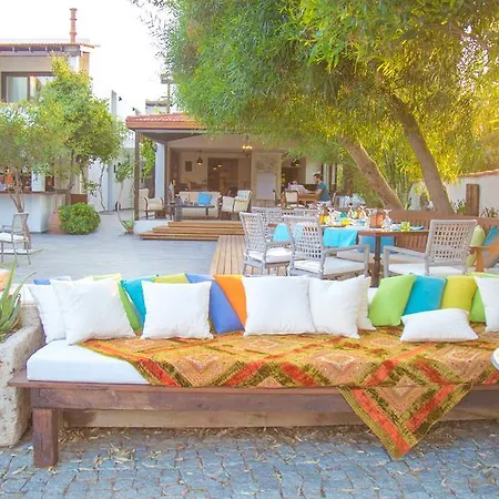 ホテル The Lifeco Bodrum Beach