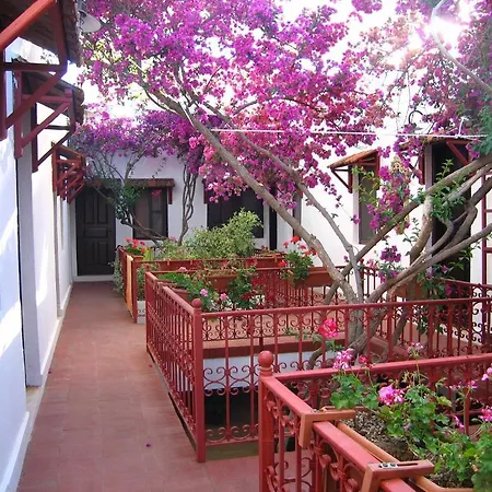 ホテル The Lifeco Bodrum Beach *