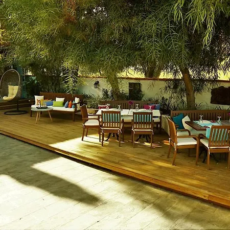 호텔 The Lifeco Bodrum Beach