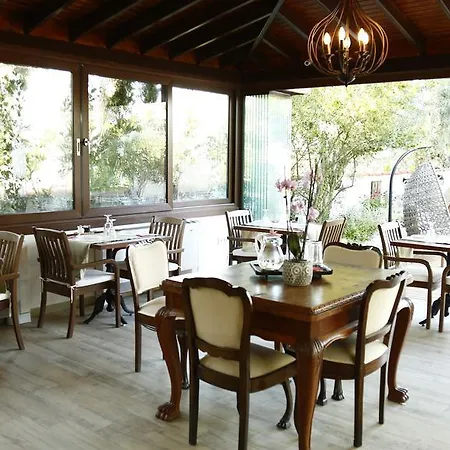 The Lifeco Bodrum Beach 호텔 골터크부쿠