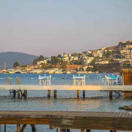 The Lifeco Bodrum Beach 호텔 *