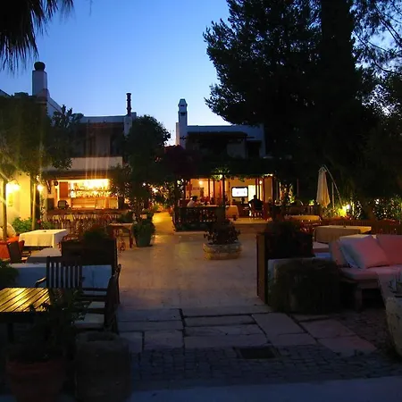 호텔 The Lifeco Bodrum Beach *