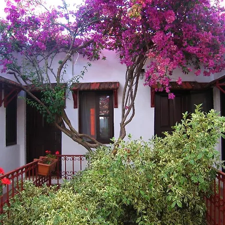 The Lifeco Bodrum Beach 골터크부쿠
