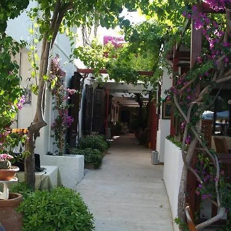 호텔 The Lifeco Bodrum Beach *